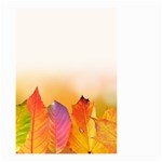 Autumn Leaves Colorful Fall Foliage Small Garden Flag (Two Sides) Back