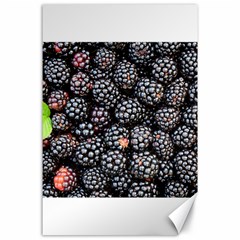 Blackberries Background Black Dark Canvas 24  X 36 