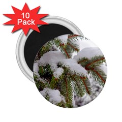 Brad Snow Winter White Green 2 25  Magnets (10 Pack)  by Amaryn4rt