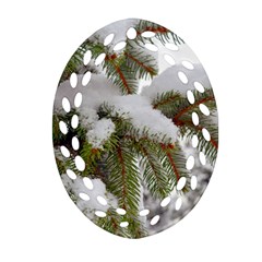 Brad Snow Winter White Green Ornament (oval Filigree)  by Amaryn4rt