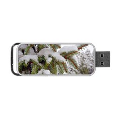 Brad Snow Winter White Green Portable Usb Flash (two Sides) by Amaryn4rt