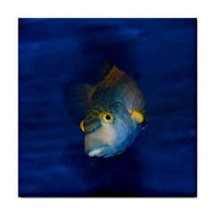 Fish Blue Animal Water Nature Tile Coasters by Amaryn4rt