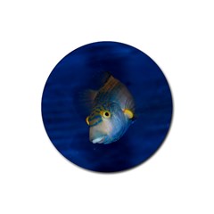 Fish Blue Animal Water Nature Rubber Round Coaster (4 pack) 