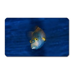 Fish Blue Animal Water Nature Magnet (rectangular) by Amaryn4rt