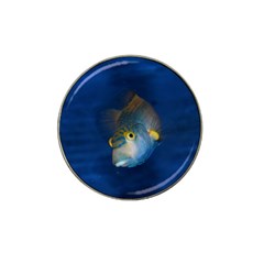 Fish Blue Animal Water Nature Hat Clip Ball Marker (4 Pack) by Amaryn4rt