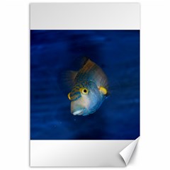 Fish Blue Animal Water Nature Canvas 24  X 36 