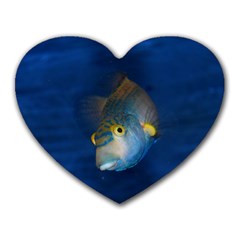 Fish Blue Animal Water Nature Heart Mousepads by Amaryn4rt