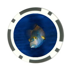 Fish Blue Animal Water Nature Poker Chip Card Guards by Amaryn4rt