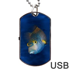 Fish Blue Animal Water Nature Dog Tag USB Flash (Two Sides) 