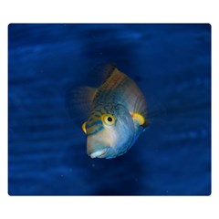 Fish Blue Animal Water Nature Double Sided Flano Blanket (small)  by Amaryn4rt