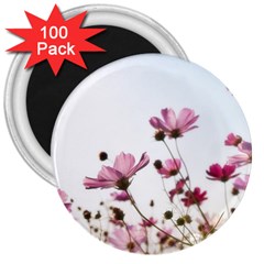 Flowers Plants Korea Nature 3  Magnets (100 Pack) by Amaryn4rt