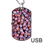 Hazelnuts Nuts Market Brown Nut Dog Tag USB Flash (Two Sides)  Front