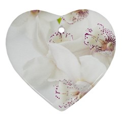 Orchids Flowers White Background Heart Ornament (2 Sides) by Amaryn4rt