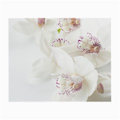 Orchids Flowers White Background Small Glasses Cloth (2-side) by Amaryn4rt