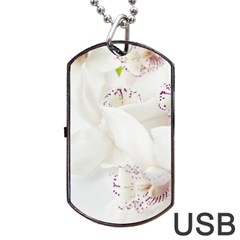 Orchids Flowers White Background Dog Tag Usb Flash (two Sides)  by Amaryn4rt