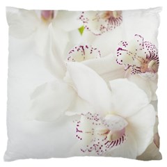 Orchids Flowers White Background Standard Flano Cushion Case (one Side) by Amaryn4rt