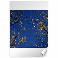 Poplar Foliage Yellow Sky Blue Canvas 12  X 18   by Amaryn4rt
