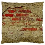Wall Plaster Background Facade Standard Flano Cushion Case (One Side) Front