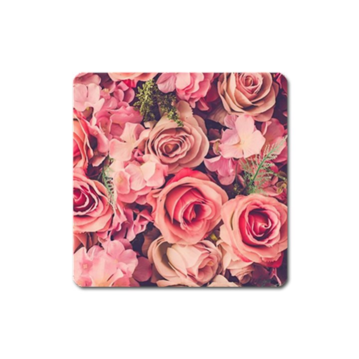 Beautiful pink roses Square Magnet