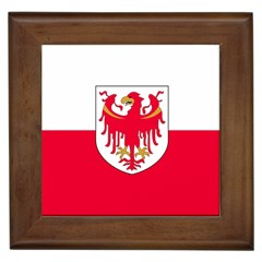 Flag Of South Tyrol Framed Tiles by abbeyz71