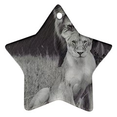 King And Queen Of The Jungle Design  Star Ornament (two Sides) by FrontlineS