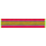 Fiesta Stripe Colorful Neon Background Flano Scarf (Small) Back