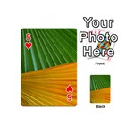 Pattern Colorful Palm Leaves Playing Cards 54 (Mini)  Front - Heart5