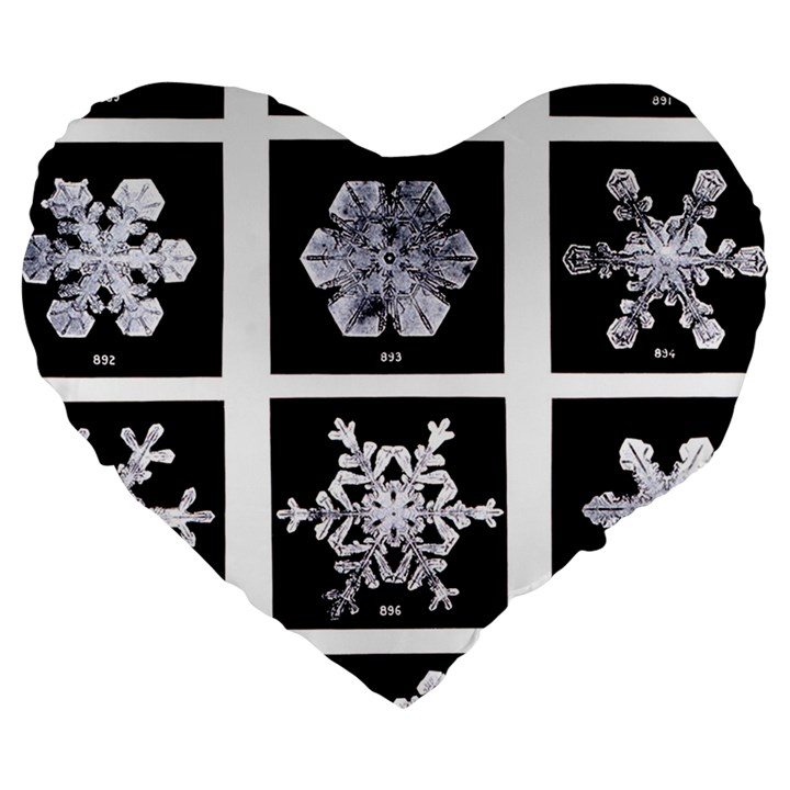 Snowflakes Exemplifies Emergence In A Physical System Large 19  Premium Heart Shape Cushions