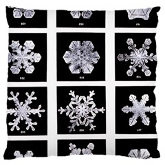 Snowflakes Exemplifies Emergence In A Physical System Standard Flano Cushion Case (two Sides) by Amaryn4rt