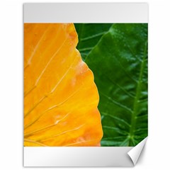 Wet Yellow And Green Leaves Abstract Pattern Canvas 36  X 48  