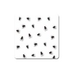 Flies Square Magnet Front