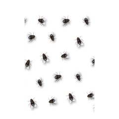 Flies Shower Curtain 48  X 72  (small) 