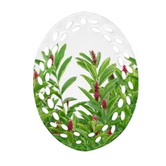 Tropical Floral Print Ornament (oval Filigree)