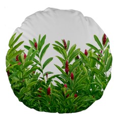 Tropical Floral Print Large 18  Premium Flano Round Cushions