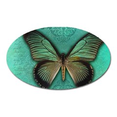 Butterfly Background Vintage Old Grunge Oval Magnet by Amaryn4rt