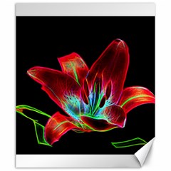 Flower Pattern Design Abstract Background Canvas 20  X 24  