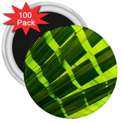 Frond Leaves Tropical Nature Plant 3  Magnets (100 Pack)