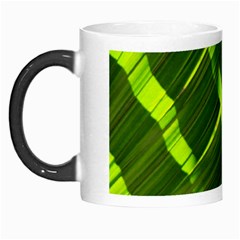 Frond Leaves Tropical Nature Plant Morph Mugs