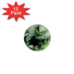 Green Leaves Nature Pattern Plant 1  Mini Magnet (10 Pack)  by Amaryn4rt