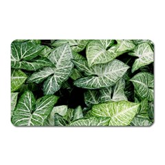 Green Leaves Nature Pattern Plant Magnet (rectangular) by Amaryn4rt