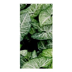 Green Leaves Nature Pattern Plant Shower Curtain 36  X 72  (stall)  by Amaryn4rt