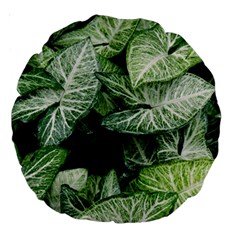 Green Leaves Nature Pattern Plant Large 18  Premium Round Cushions by Amaryn4rt