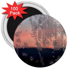 Hardest Frost Winter Cold Frozen 3  Magnets (100 Pack)