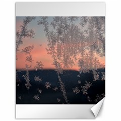 Hardest Frost Winter Cold Frozen Canvas 12  X 16   by Amaryn4rt