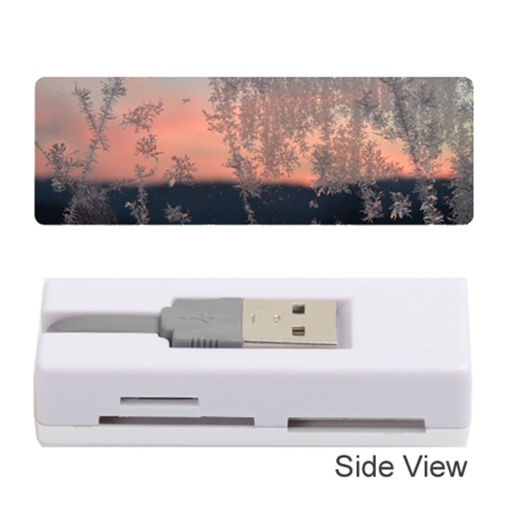 Hardest Frost Winter Cold Frozen Memory Card Reader (Stick) 