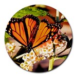 Monarch Butterfly Nature Orange Round Mousepads Front