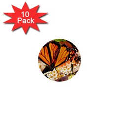 Monarch Butterfly Nature Orange 1  Mini Buttons (10 Pack)  by Amaryn4rt