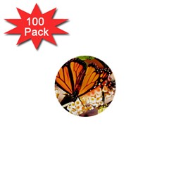 Monarch Butterfly Nature Orange 1  Mini Buttons (100 Pack)  by Amaryn4rt