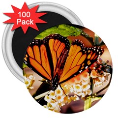 Monarch Butterfly Nature Orange 3  Magnets (100 Pack)