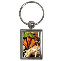 Monarch Butterfly Nature Orange Key Chains (rectangle)  by Amaryn4rt